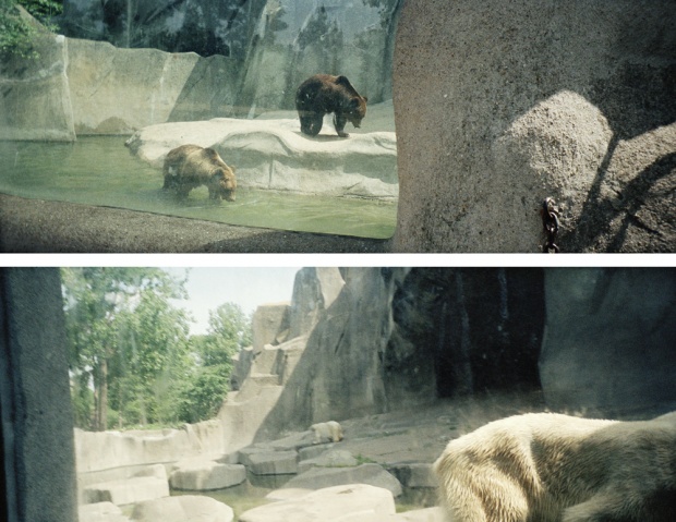 Zoo de Vincennes, Mai 1992<br />